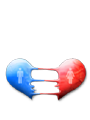 ̺ Ǯ